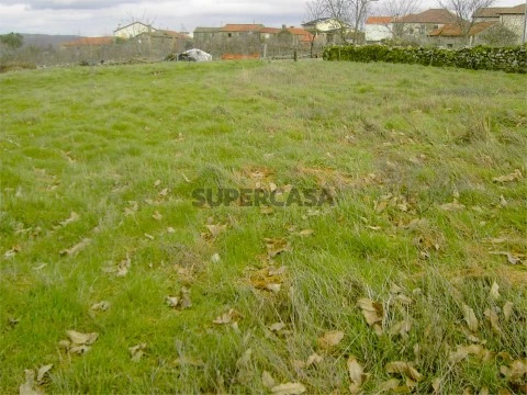 Terreno em Moimenta da Beira