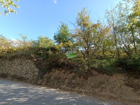 Terreno e casa em Gouviães