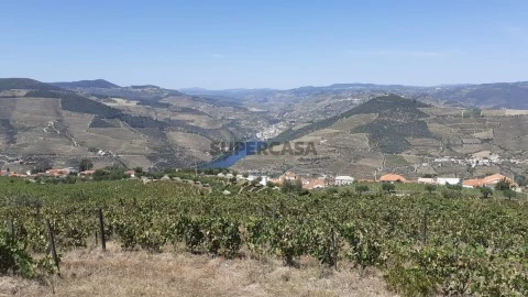 Quinta no Douro