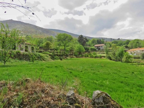 Terreno em Arguedeira