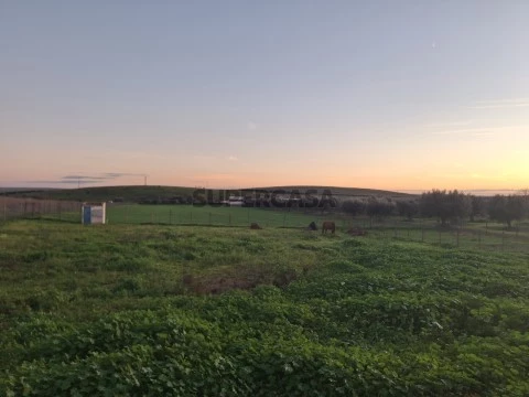 Terreno