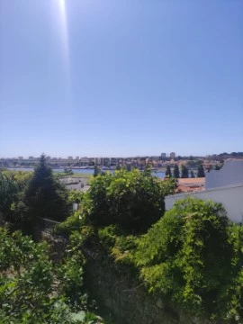 Vistas