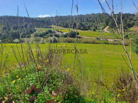 venda-terreno-agricola-vimeiro-lourinha-8440m2