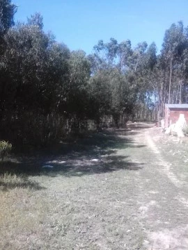 Terreno em São Bartolomeu dos Galegos e Moledo, Lourinhã