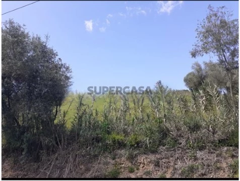 Grundstück auf Aldeia Galega da Merceana e Aldeia Gavinha, Alenquer