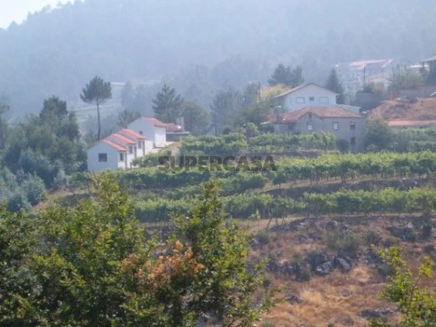 Finca  en Cepelos, Vale de Cambra