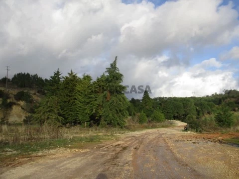 Terreno Cernache