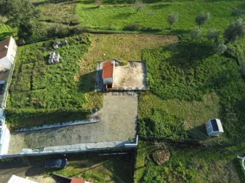Terreno Figueira de Lorvão (6)