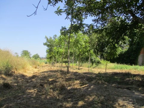 Terreno Soure
