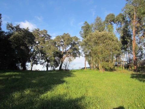 Terreno Feteira