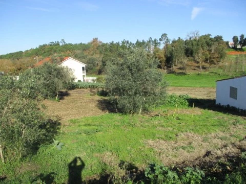 Terreno 5.500 m2
