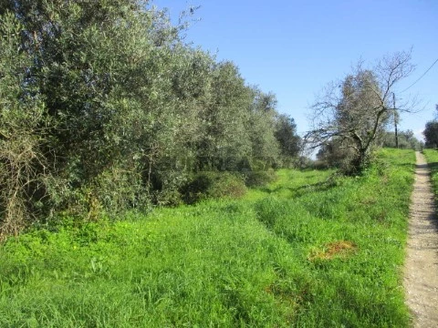 Terreno No Cercal