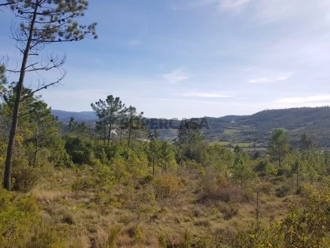 Terreno Almalaguês