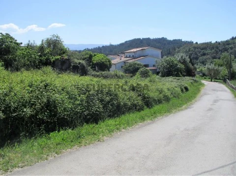 Terreno com Ruína