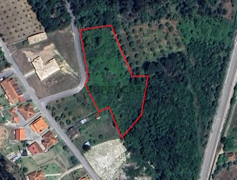 Terreno Soure 6.900m2