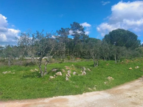 Terreno Cernache