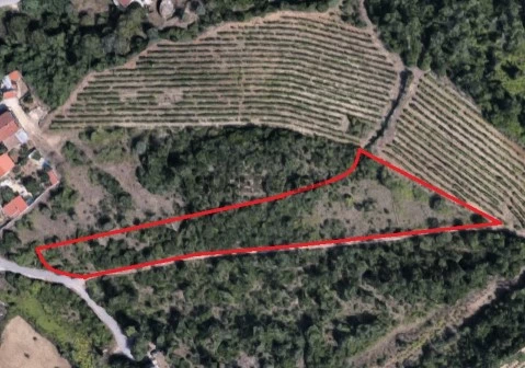Terreno Condeixa