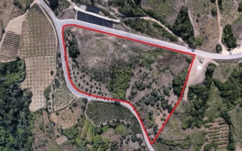 Terreno com 2 hectares em Coimbra