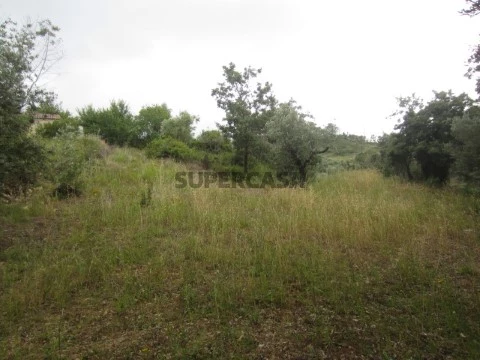 Terreno Penela