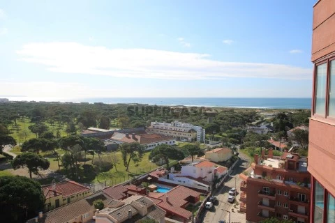 Vista