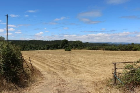 Terreno 1