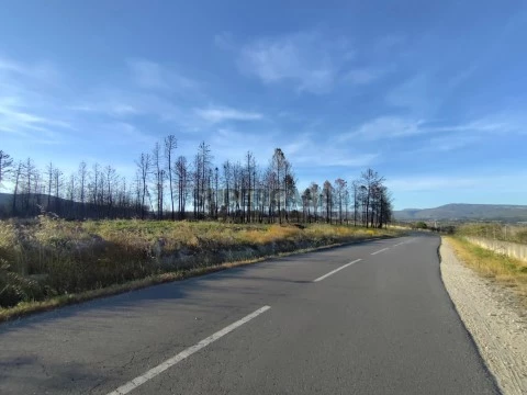 Terreno em Santa Cruz/Trindade e Sanjurge, Chaves