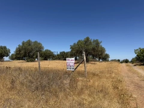 Herdade em Malarranha (2)