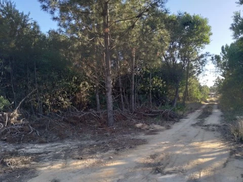 Quinta - Fernão Ferro