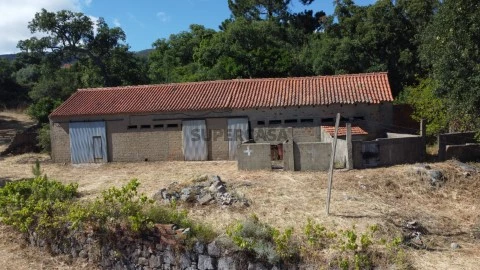 Terreno Misto em Monchique, Com Armazém e Casa Para Restaurar (16)