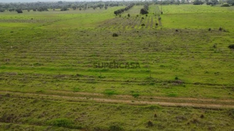 Lote de terreno rústico perto de Paderne, plano, vedado e com vista desafogada (3)