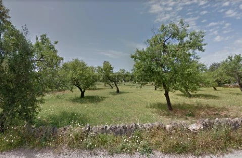 Terreno urbano com viabilidade de construção, Estoi, Faro, Algarve