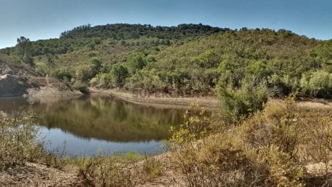 Lote de Terreno para projeto Agro-turismo em Messines, Silves