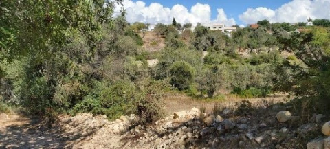 Terreno agricola em Paderne