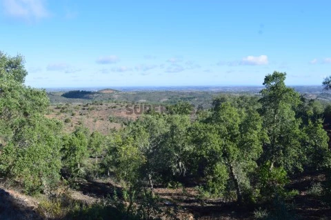 Terreno com duas ruínas registadas como artigos urbanos, Almodôvar