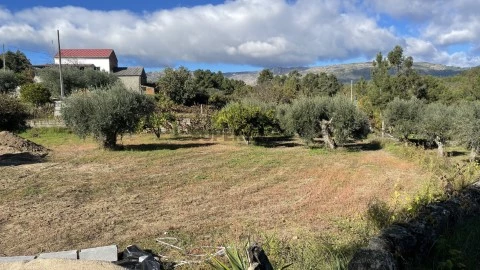 Terreno Rústico em Póvoa de Atalaia e Atalaia do Campo, Fundão