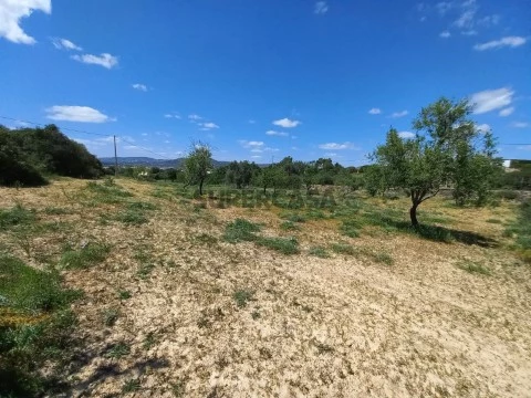 Terreno rústico, Conceição, Faro, Algarve