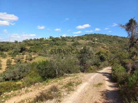 Terreno rústico, Conceição, Faro, Algarve