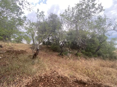 Terreno rústico com a área total de 210m2