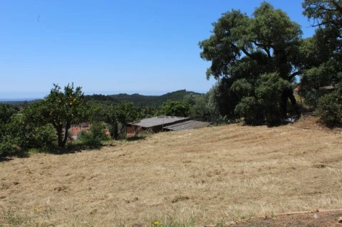 Quinta em Marmelete, terreno
