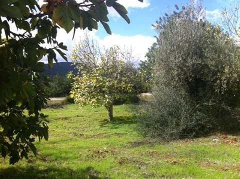 Lote de terreno urbano com vista campo