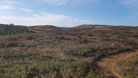 Terrain rustique Tavira