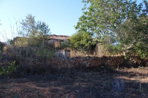 Terreno misto em São Bartolomeu de Messines, Algarve