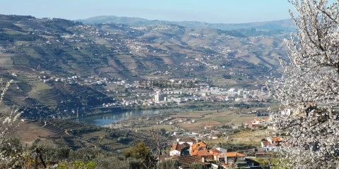 Quinta T0 em Cambres, Lamego