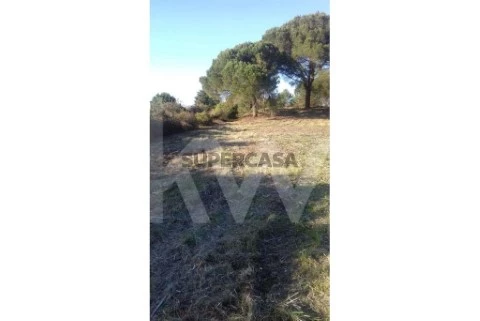 Terreno em Pocariça, Cantanhede