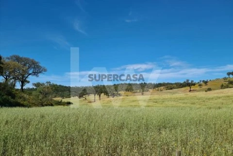 Terrain au Relíquias, Odemira