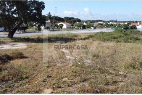 Terreno em Biscaínho, Coruche