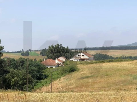 Quinta T5 em Ventosa, Alenquer