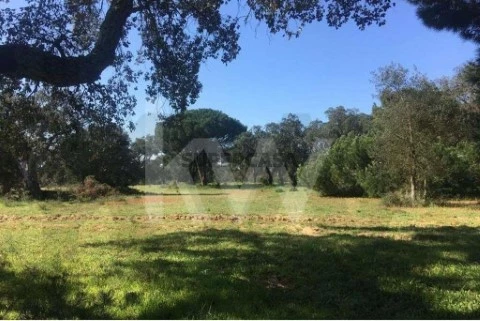 Terreno em Poceirão e Marateca, Palmela