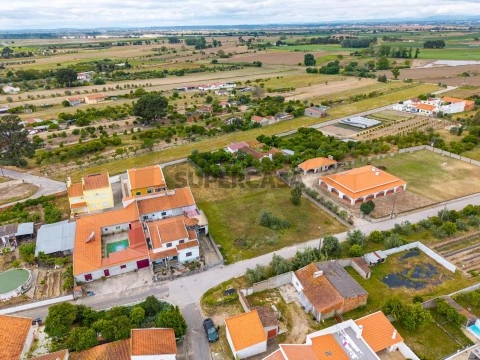Terreno em Carregueira, Chamusca