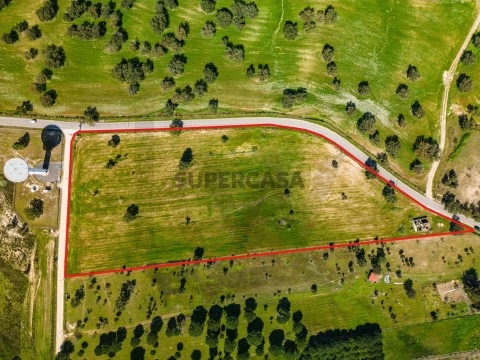 Terreno em São José da Lamarosa, Coruche